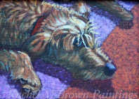 irish wolfhound
