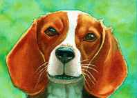 Dog Paintings