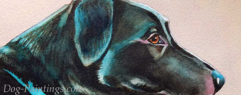 Cat Paintings Banner