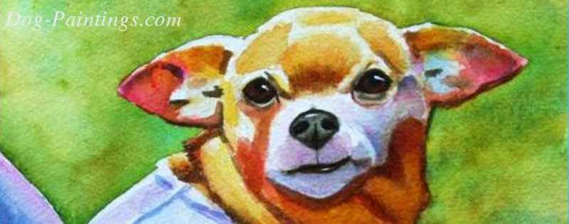Cat Paintings Banner