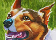 corgi portrait