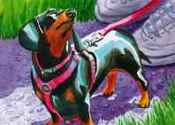 dogs artist