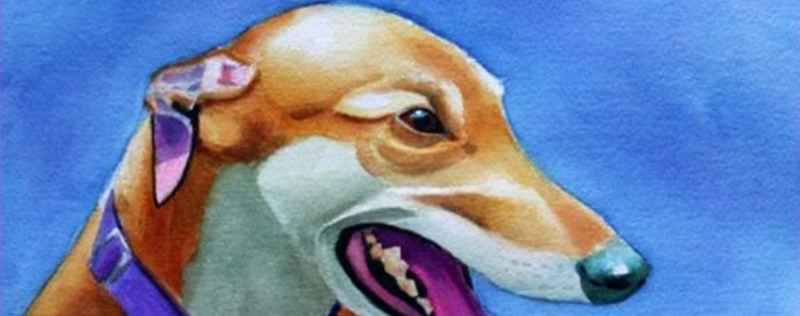 Cat Paintings Banner