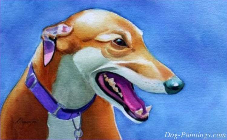 Greyhound portrait