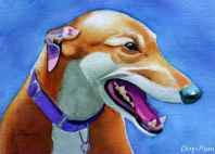 dogs portraits