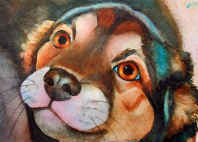 dog portrait