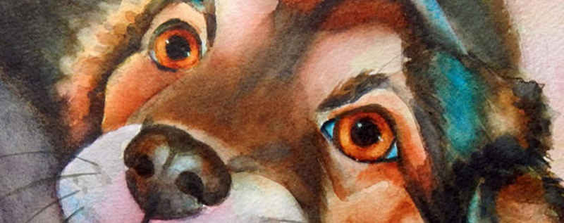 Cat Paintings Banner