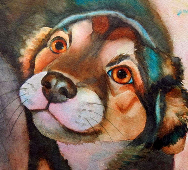 Dog portrait