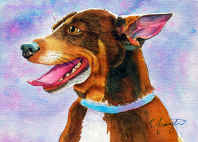 rat terrier portrait