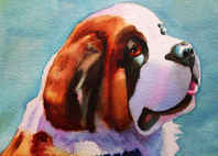 saint bernard portrait