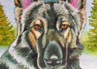 dog portrait