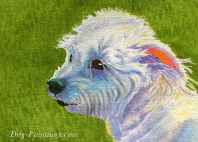 dog artwork